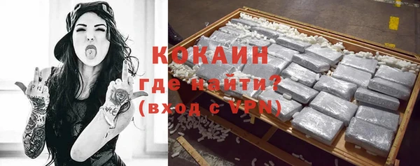дживик Надым