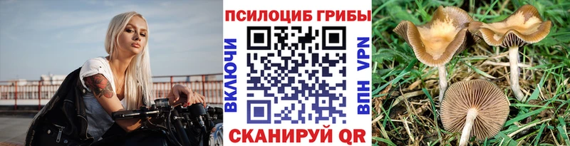 Галлюциногенные грибы Psilocybe  Краснодар 